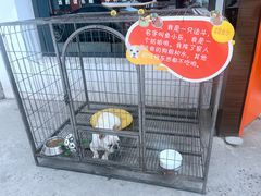 -向外鱼乐·土菜·虹鳟鱼