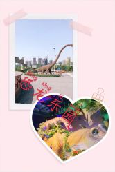 -恐龙探索乐园(磁器口店)