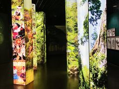 -浙江自然博物院(杭州馆)