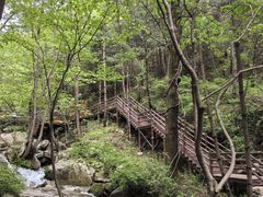 -王顺山国家森林公园