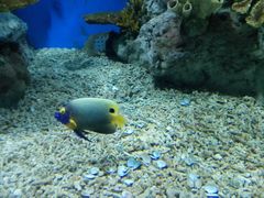 -福州罗源湾海洋世界旅游区