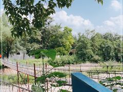 -京东大溶洞景区