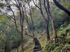 -严子陵钓台(富春江小三峡)