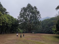 -深圳仙湖植物园