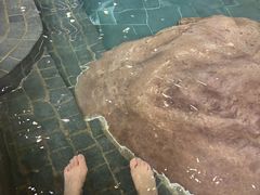 -天目湖涵田半山温泉