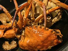 -莲花公园煎蟹(总店)