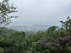 -岳麓山风景名胜区