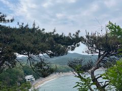 -棒棰岛宾馆景区