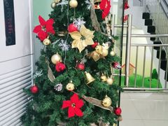 -学知乐教育·幼小衔接·小学科辅导(嘉定镇校区)