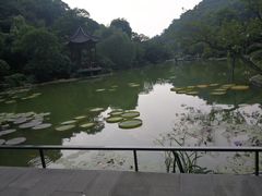 -云溪植物园