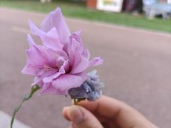 -云漫湖生态度假公园