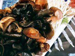 -弘烨 贵州酸汤 鱼火锅(东财店)