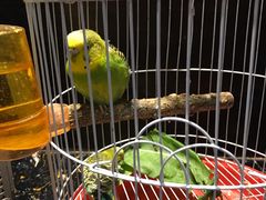 -舌尖上的食缘花园主题餐厅