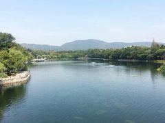 -箸福·夜上海(月牙湖公园店)