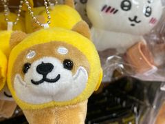 -中部国际机场