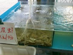 android_upload_pic-天津乾毓德饭庄·清真传统炒菜·海鲜烧烤(咸阳路店)