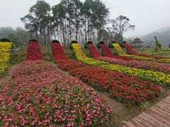 -广州市石门国家森林公园