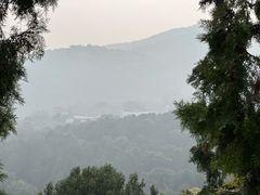 -香山公园
