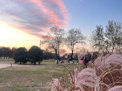 -汉长安城未央宫国家考古遗址公园