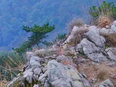 -午潮山国家森林公园