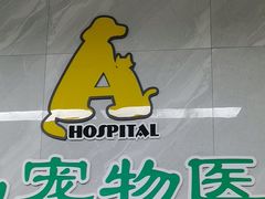 -半岛宠物医院24小时(白果林店)