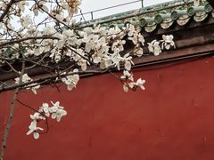 -天坛公园