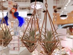 -KKV(深圳kk one 店)
