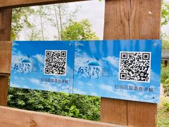 -白鹭湾湿地公园