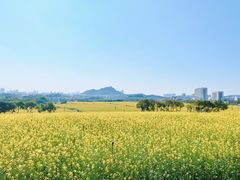 -光明小镇欢乐田园