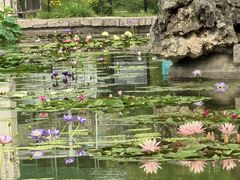 -国家植物园南园