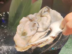 -牛New寿喜烧(曹路花园城店)