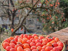 -楠溪江风景名胜区