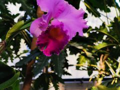 -北京植物园-展览温室