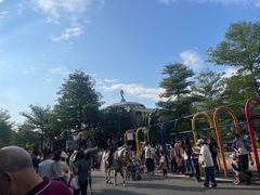 -灵玲国际马戏城
