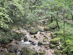 -牛背梁国家森林公园