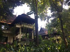 -四季酒店下午茶