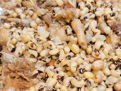 眉豆花生煲鸡脚-农汤老店(顺联公园里店)