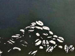 -瑞幸咖啡(黄岛家佳源店)