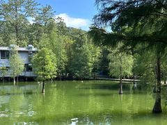 -广州市白云山风景名胜区