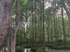 -杭州植物园