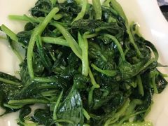 清炒鸡毛菜-19号私房菜(云南路店)
