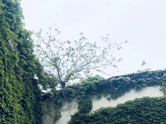 -书隐楼