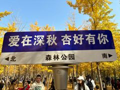 -森林公园(尖草坪区)