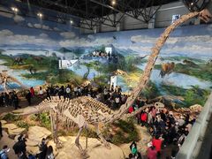 -自贡恐龙博物馆