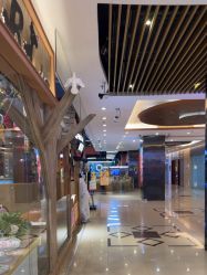 -卡通尼·Safari非洲探索乐园·生日会(金桥国际商业广场店)