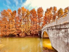 -上海海湾国家森林公园