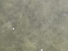 -光头佬钓虾场·烧烤·聚餐·亲子(金沙洲店)