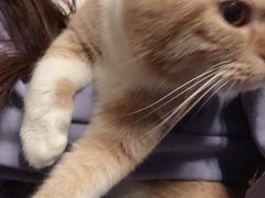 -AOE 火焰 剧本密室狼人杀