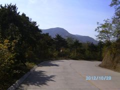 -鲁山国家森林公园