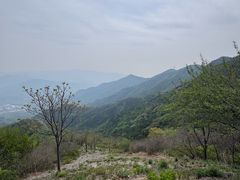 -北京鹫峰国家森林公园